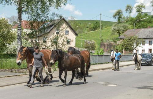 Nengshof - Haus Königskerze - Foto 42