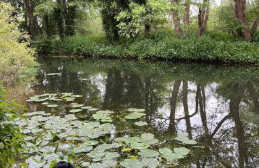 Heron House - Photo 23