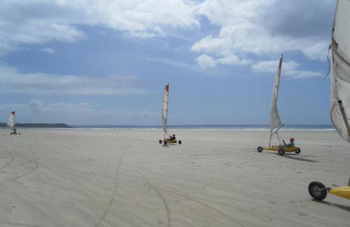 L'Effraie des Clochers - Foto 39