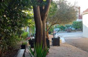 Apartments Jeličić - Foto 4