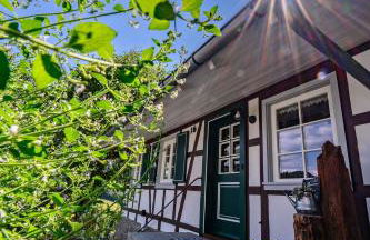 Ferienhaus Ottenhöfen - Sauna | Hot Tub - Foto 47