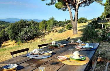 Nocini di Maremma - Photo 42