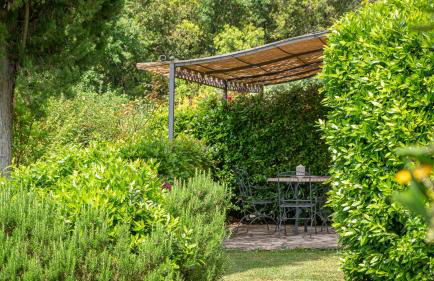 Poggio Al Palio - Foto 76