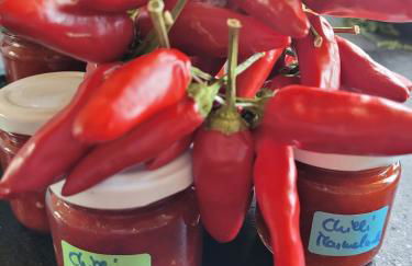 Casa Mare * Monte * Mille Stelle - Foto 29