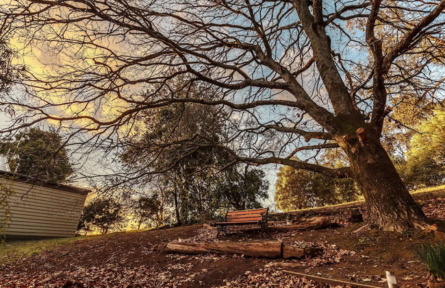 The Cottages at Hepburn Springs - Foto 41