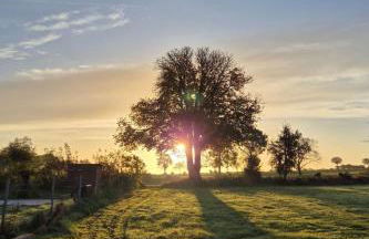Apartment Wunderschöne Ferienwohnung mit Terrasse und Garten by Interhome - Foto 15
