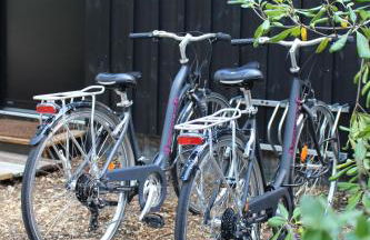 Eco-lodges Lacanau Moutchic Inn - 4 pers - Foto 22