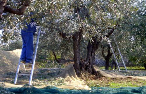 Apartment Anwesen mit Schwimmbad by Interhome - Foto 41