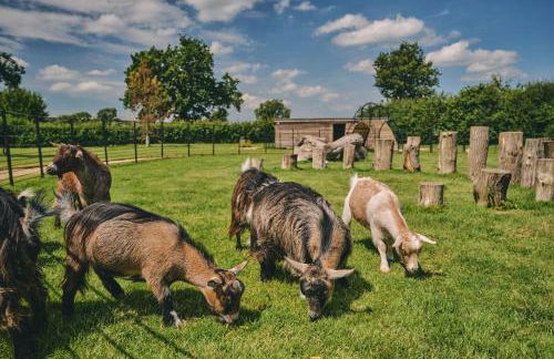 The Granary - Photo 29