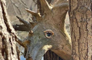 Ferienwohnung Plaue Auszeit mit Privatstrand und Bootsliegeplatz - Foto 31