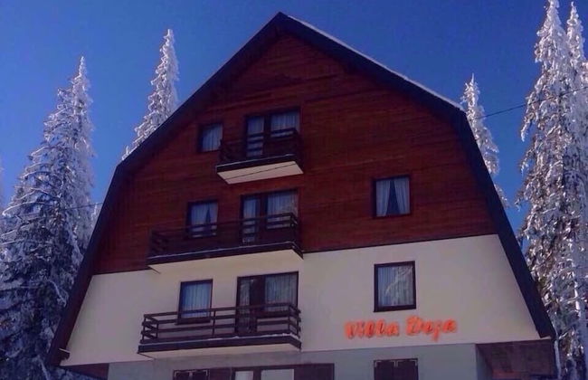 Villa Deja Jahorina - Foto 30