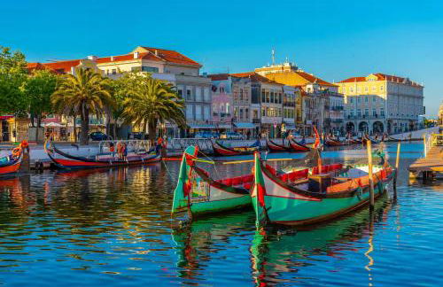 Bird’s Home - Foto 51