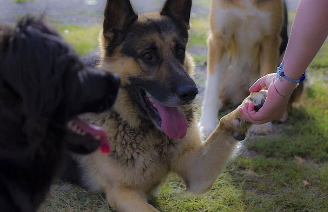 Agriturismo Pretenzano - Photo 31