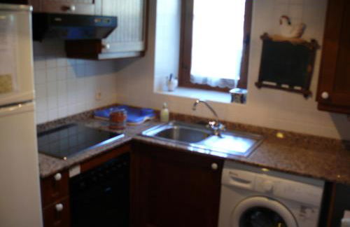 Apartamentos wifi Baqueira & Aigüestortes con jardín privado - Photo 70