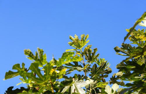 Peaceful Family Apartment with PRIVATE GARAGE Free Parking, Split - Foto 32