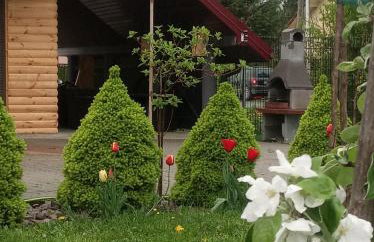 Domek Gniewoszówka - Photo 5