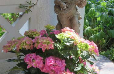 Ferienwohnung Birkenflair - Photo 6