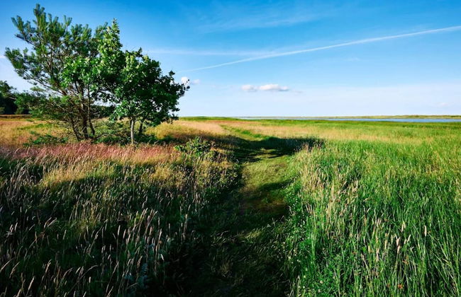 6 Person Holiday Home in Hals - Foto 22