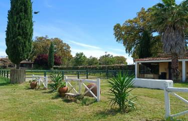 Casa da Vinha - Foto 68