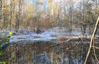 Gästehaus zum Rosengarten - Photo 63