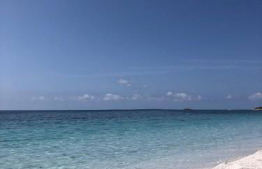 Ale house experience - Foto 34