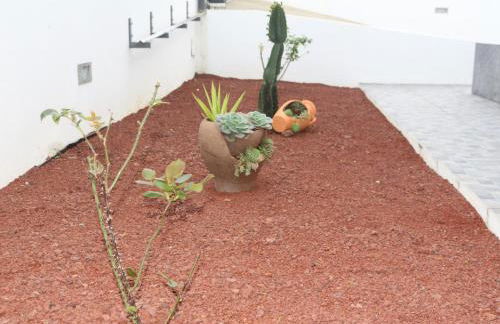 CASA DO ADRO -GRANEL - Photo 14