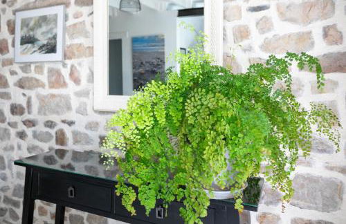 Gite les coquelicots Proche mer - Photo 8