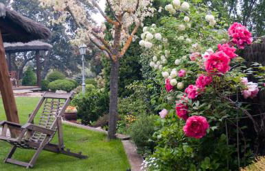 SAIKA Rural - Photo 73