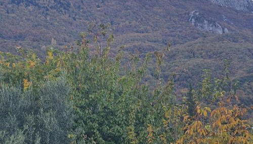 ESTELA House - Foto 4