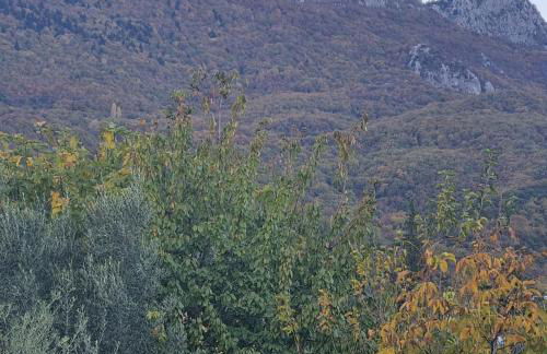 ESTELA House - Foto 4