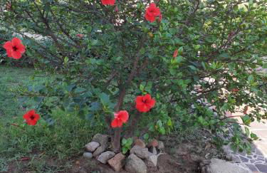 casa rosa nel residence mirice con piscina ,wifi,climatizzatore - vicino al mare - Photo 20