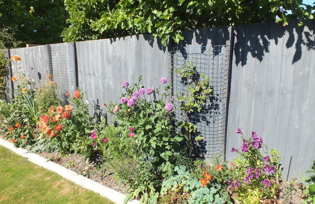 Aidanfield Gardens Bellissimo - Photo 25