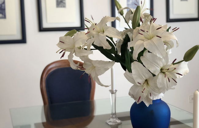 CASA INGENIO Deep Inside Los Mochis - Foto 17