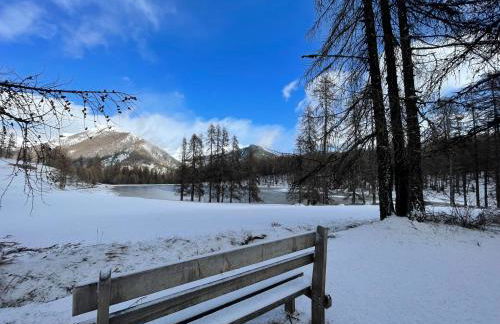 AU PIED DES PISTES D'ARVIEUX - Foto 38