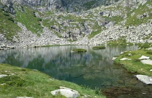 Residence Solaria Albarè Marilleva 1400 - Foto 16