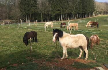 Holiday Home Near Lake and Leisure in Clos du Bannet - Foto 1