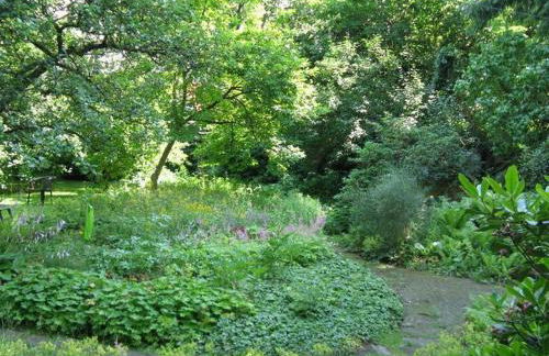 Ferienwohnungen Wildblume - Foto 8