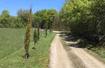 Le Gîte Pérard - Foto 35