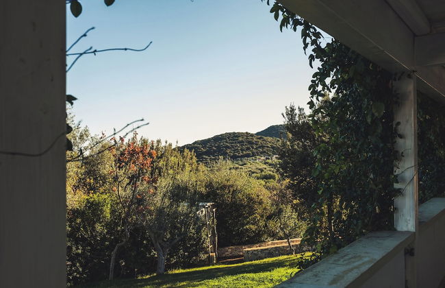 Masseria Santa Teresa - Foto 19