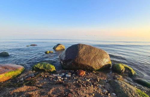 Appartements Post Hiddensee, Vitte - Foto 72