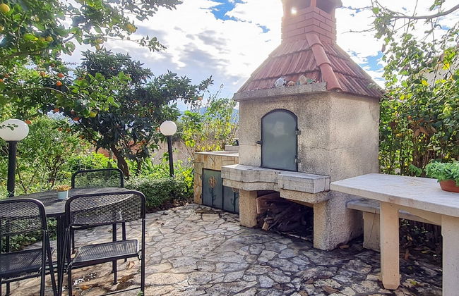 Villa Klara - Photo 51