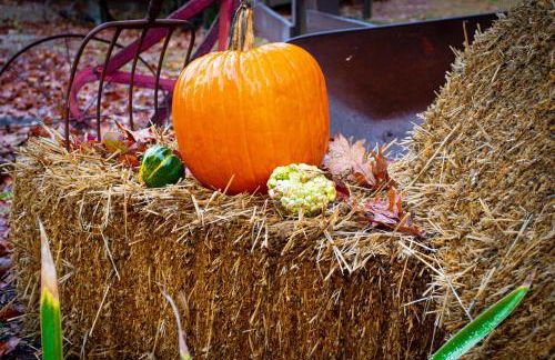 The Refuge - Foto 58