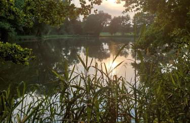 Ferienwohnung Am Bürgerteich - Foto 41