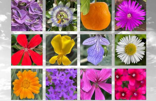 Grove Cottage: Immersed in nature & close to town - Photo 30