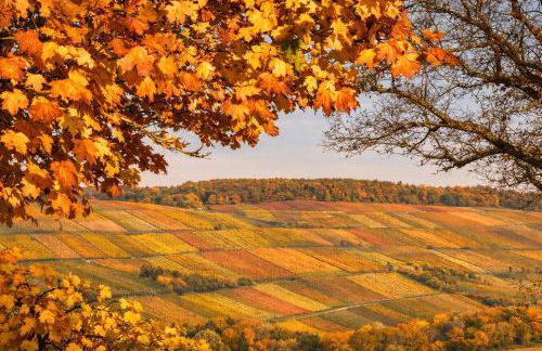 Ferienwohnungen Etzl - Foto 22