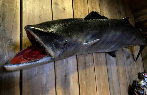 Coed Y Ddraig - themed 3 bedroom cottage, with bar & pool table - Photo 16