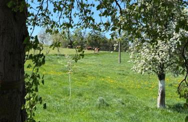 Lauenhainer Alm - Foto 30