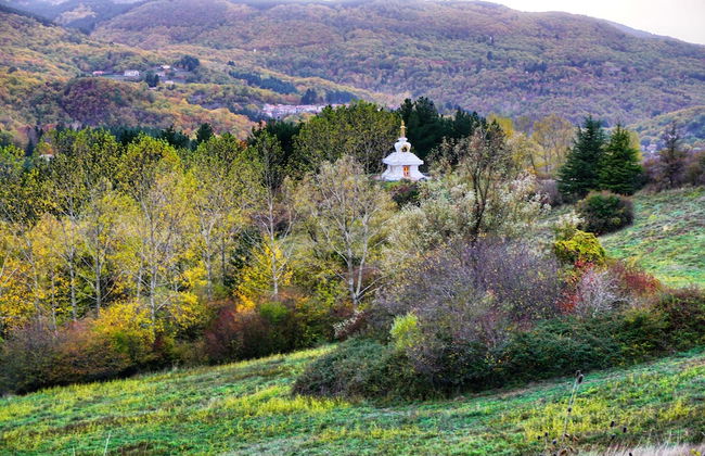 Agriturismo Bio I Rondinelli - Foto 44