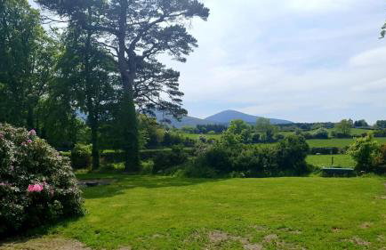 Bryansford Cottage Stables - Foto 17