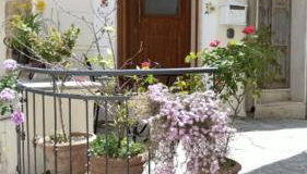 Terrace house ! - Photo 2